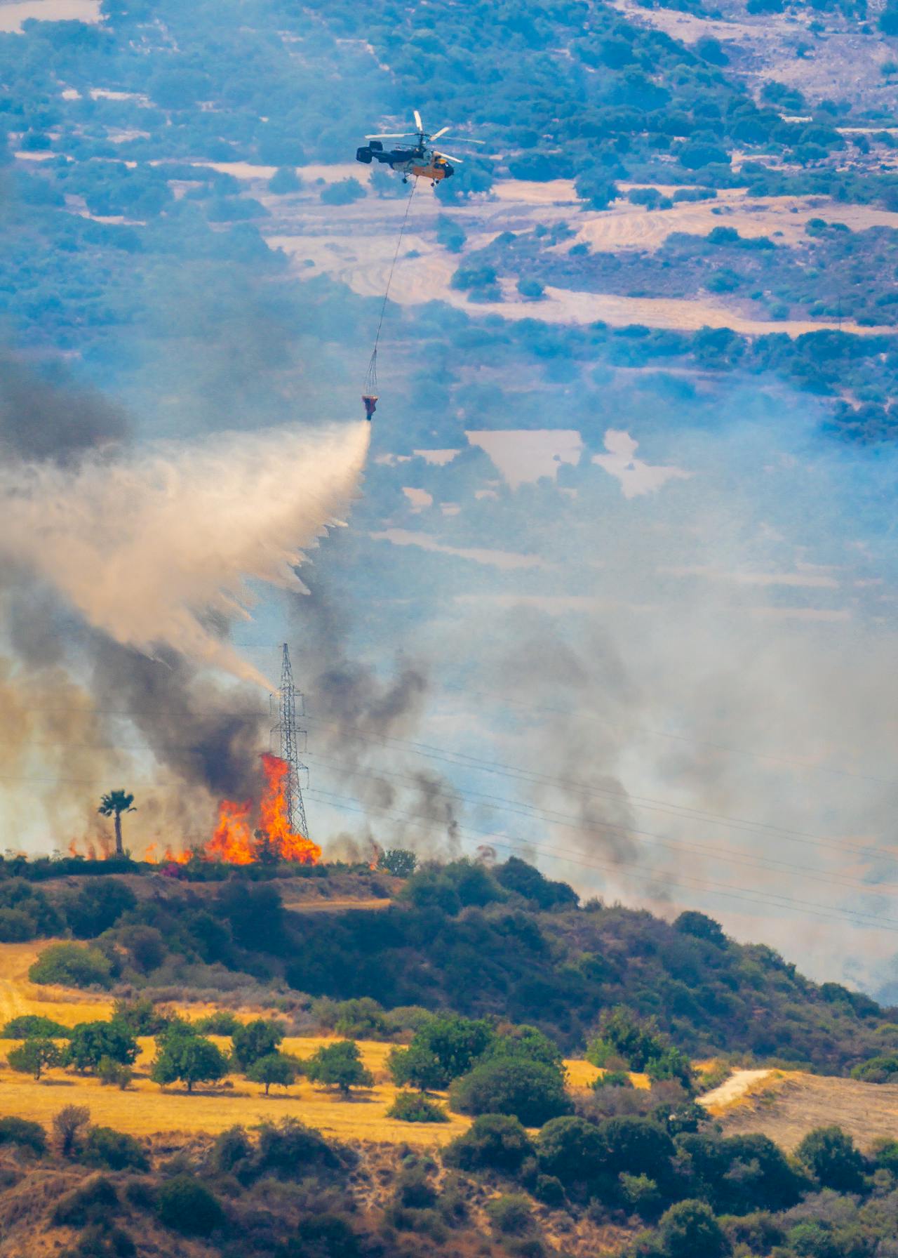 Comisión de Vivienda aprueba proyecto para fortalecer la prevención de incendios forestales