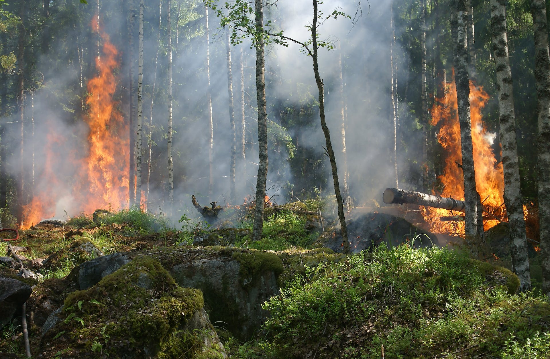 Aumento alarmante de riesgo de incendios forestales en Colombia: 747 municipios en alerta