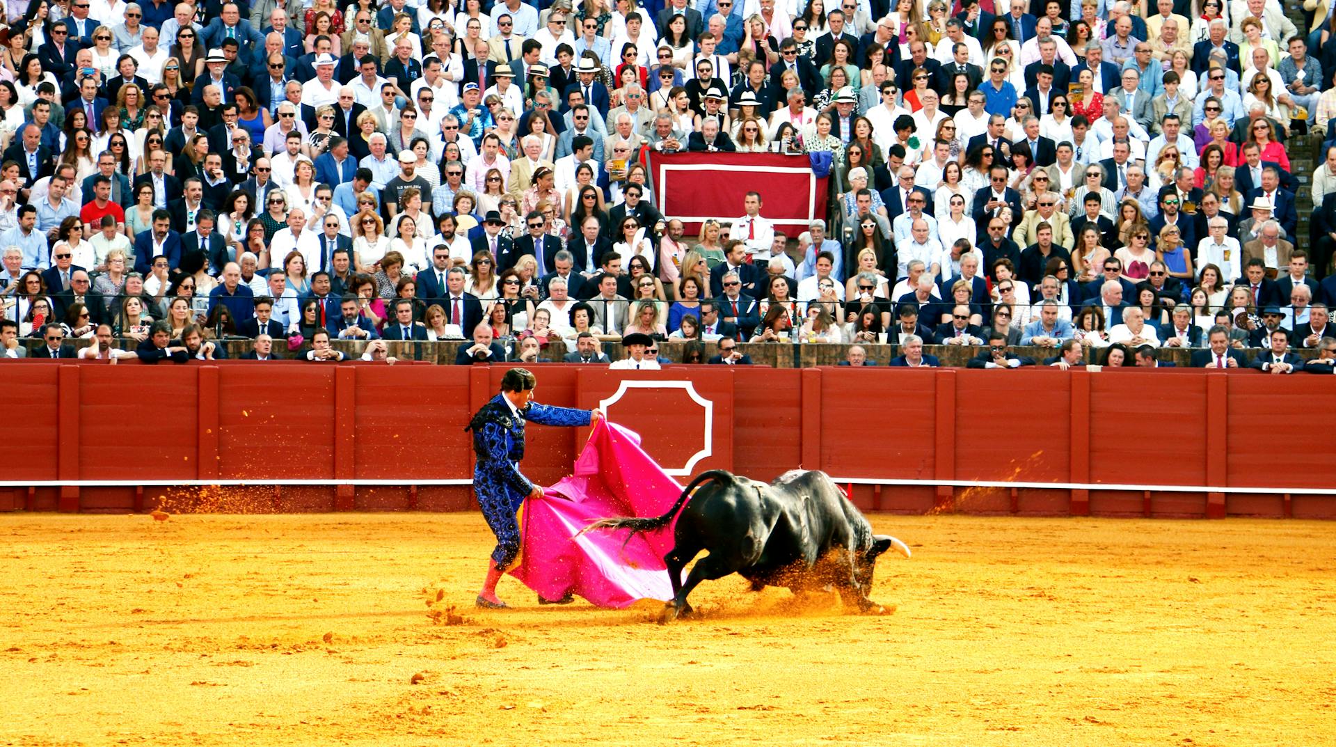 Proyecto de ley para prohibir corridas de toros pasa a último debate en la Cámara de Representantes