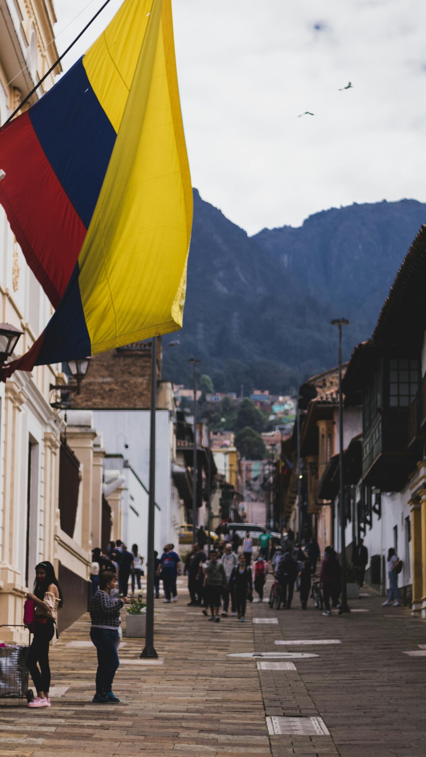 Aprobados importantes proyectos legislativos en sesión del Senado