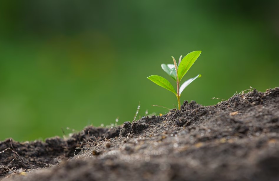 Insuficiencia del estudio ambiental presentado