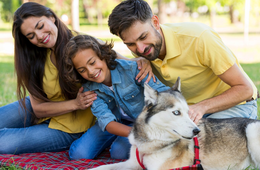 La AP de Pontevedra permite fijar una pensión de 40 euros al mes para una mascota