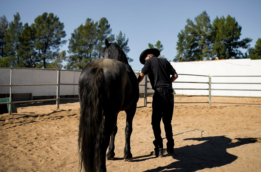 Arrollado por dos caballos desbocados mientras paseaba con su familia