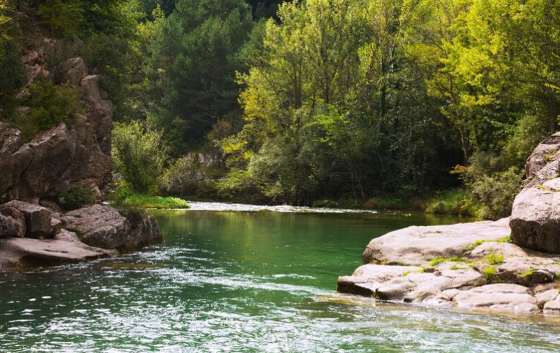 Reglamento (UE) 2024/1991 para la restauración de la naturaleza