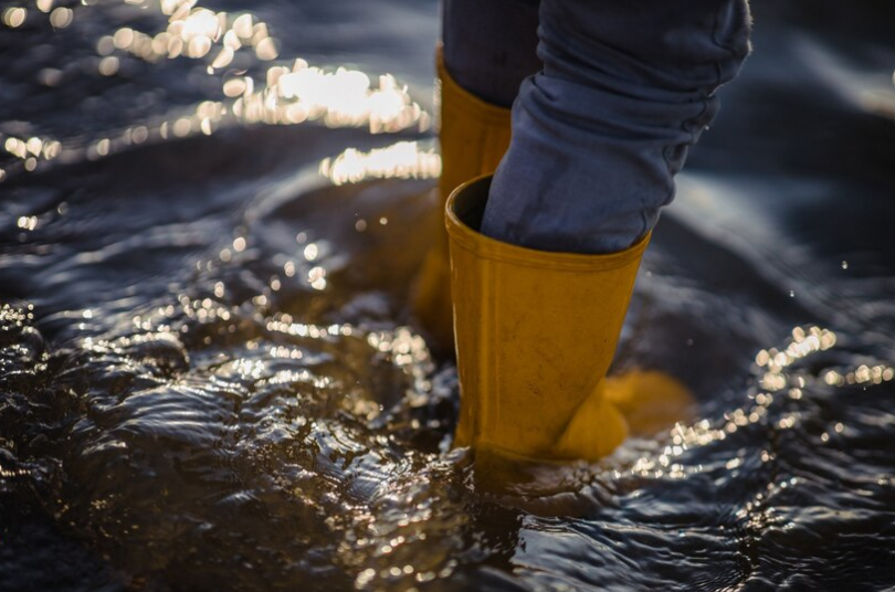 ayudas inundaciones