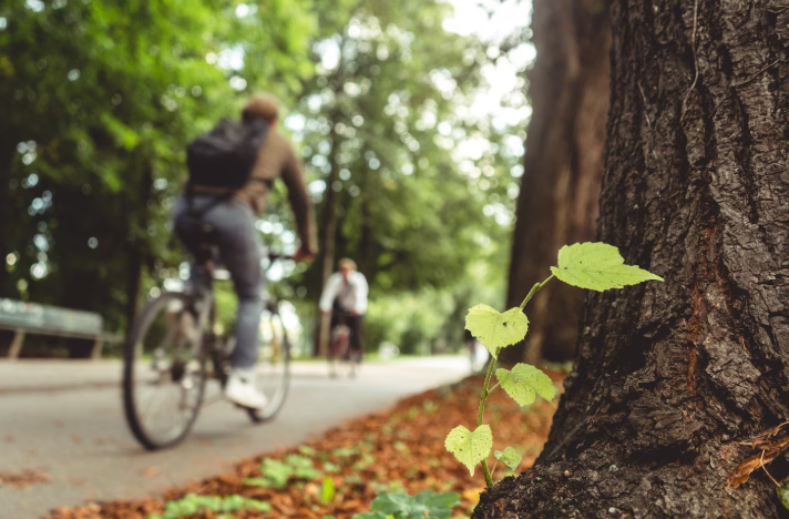 movilidad sostenible